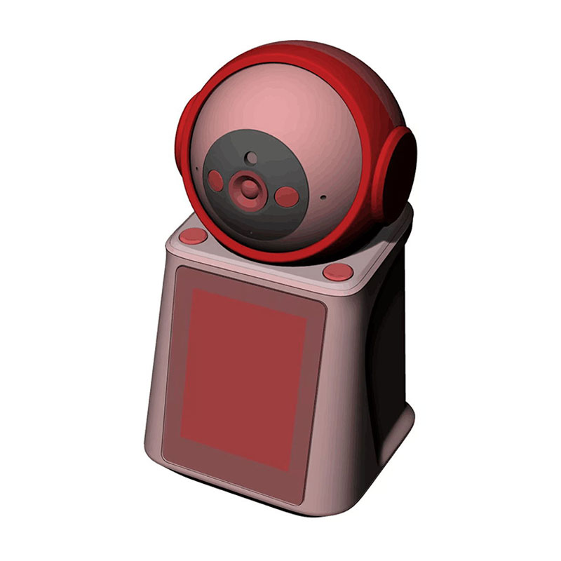 Telecamere di sicurezza IP